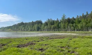 Погода в Братске 4–6 июля 