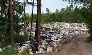 Природоохранная прокуратура проверит ситуацию с огромной свалкой в селе Тангуй Братского района