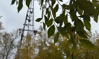 Погода в Братске 7 октября