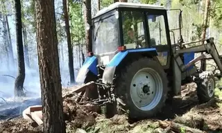 Противопожарное обустройство лесов завершено в Приангарье