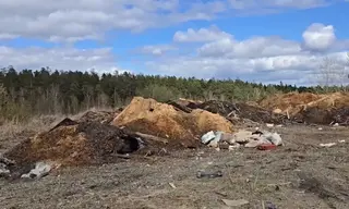 Всего 50 млн рублей ежегодно из 600 млн экоплатежей городских предприятий вернут Братску в 2026-2028 годах